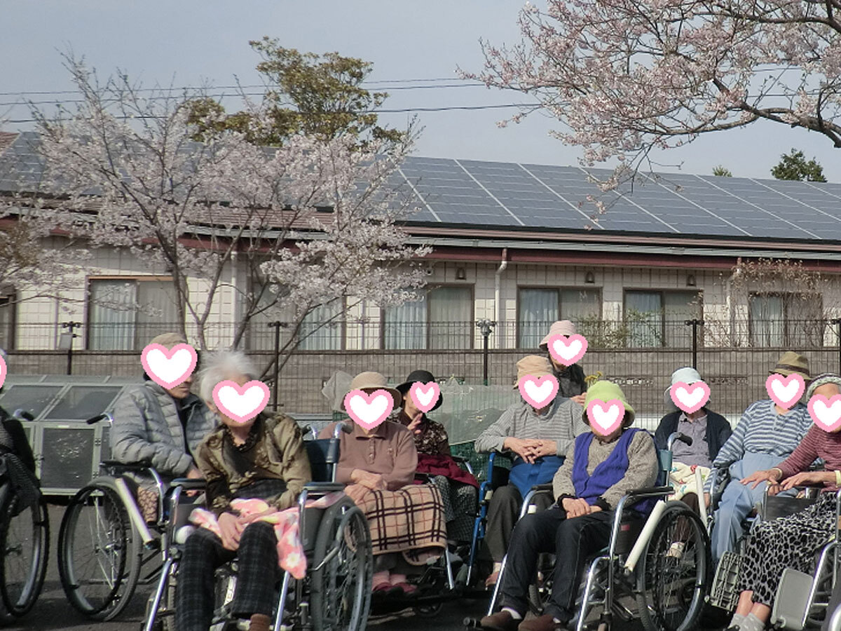 写真：お花見